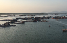 Bà Rịa – Vũng Tàu: Trình thủ tướng chấp thuận chủ trương dự án Khu đô thị biển quy mô hơn 1.500 ha