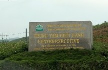 “Thông tin THACO tiếp quản dự án Chăn nuôi Bình Hà là không chính xác“