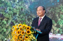 Thủ tướng: Không được 'bê tông hóa' Phú Quốc