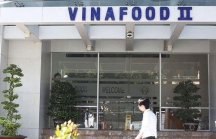Xin bổ sung ngành kinh doanh bất động sản, đại lý xăng dầu, Vinafood 2 đang làm ăn ra sao?