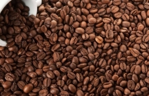 Cung vượt cầu, giá cà phê nội địa tiếp tục giảm sâu