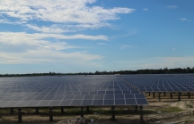 Nhà máy điện mặt trời Cẩm Hòa sản xuất đạt 100% công suất