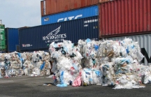 Chiêu thức nhập khẩu phế liệu núp bóng hạt nhựa vận chuyển về Việt Nam