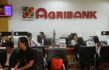 Agribank báo lãi đột biến 8.200 tỷ đồng 7 tháng đầu năm