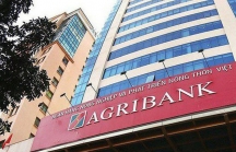 Agribank tố AJC chiếm dụng thương hiệu của ngân hàng