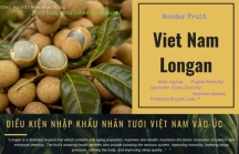 Nhãn tươi Việt Nam nhập khẩu vào Úc cần đáp ứng điều kiện gì?
