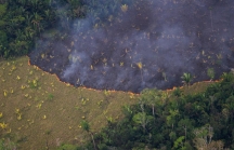 Cháy rừng Amazon - 'lá phổi' địa cầu trước nguy cơ bị bức tử