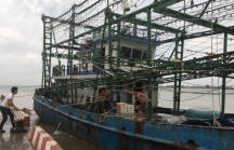 Nghệ An còn khoảng 4.000 tàu thuyền, 18.700 lao động trên biển trước khi bão số 4 đổ bộ