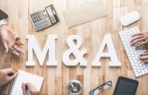 Thị trường M&A 2019-2020: Nhận diện các thương vụ đình đám và lĩnh vực đột phá