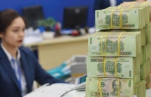 19 ngân hàng trung ương đã giảm lãi suất, Việt Nam liệu có tiếp bước?