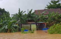 Tin cuối ngày thiệt hại do mưa lũ gây ra tại các tỉnh miền Trung