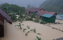 Thủ tướng gửi thư động viên đồng bào bị lũ lụt ở miền Trung