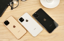 iPhone 11 có mặt tại Việt Nam ngày 20.9, giá từ 30 triệu đồng?