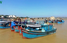 Nhiều chủ tàu cá ở Nam Trung bộ bị ngân hàng kiện đòi nợ
