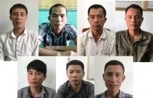 Rừng Di sản bị phá: Đồn trưởng Biên phòng buộc thôi chức, 6 sĩ quan khác bị kỷ luật