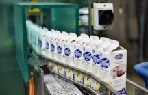 Bên trong nhà máy của hãng sữa được trao tặng Huy hiệu Hoàng gia Hà Lan
