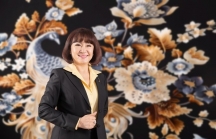 Bà Huỳnh Bích Ngọc muốn chi 300 tỷ đồng để gom thêm 17 triệu cổ phiếu SBT
