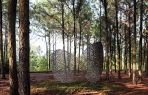 Triển lãm Art In The Forest 2019: Tự hào nửa thập kỷ kiến tạo nghệ thuật