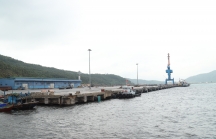 Tập đoàn Cảng Hạ Môn Chen Zhiping muốn đầu tư vào Vũng Áng