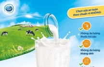  “4 không từ sữa - 4 có cho con” - Công thức chăm con chuẩn Hà Lan cho mẹ Việt