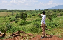 Gia Lai: UBND huyện Chư Pưh cấp sổ đỏ trái phép trên đất lâm nghiệp