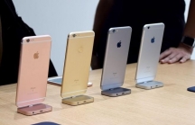 'Apple vẫn chỉ coi Việt Nam là thị trường hạng 3'