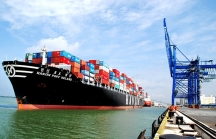 4,1 tỷ USD đầu tư cho cảng Trần Đề dự kiến kêu gọi bằng nguồn vốn tư nhân
