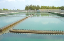 TP.HCM lên kịch bản ứng phó ô nhiễm nguồn nước sau hàng loạt sự cố môi trường ở Hà Nội