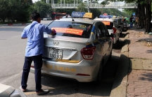 Taxi có thể gắn phù hiệu bằng vật liệu phản quang trên kính thay gắn mào