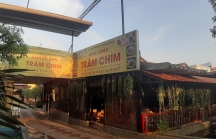 Vụ cưỡng chế công trình ‘Gia Trang quán - Tràm Chim Resort’: Chủ Resort ‘kêu cứu’ lãnh đạo TP.HCM