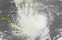 Tin bão mới nhất: Bão số 6 Nakri giật cấp 13 vào Bình Định - Khánh Hòa trong đêm nay