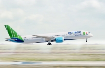 Bamboo Airways tăng 3.600 chuyến bay phục vụ Tết Canh tý 2020