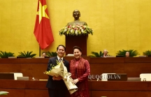 Ông Hoàng Thanh Tùng giữ chức Chủ nhiệm Ủy ban Pháp luật của Quốc hội