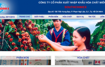 Tại sao cổ phiếu CTCP Xuất nhập khẩu Hóa chất Miền Nam được định giá lên tới 253.300 đồng?