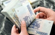 Lương giám đốc nhà máy tại Việt Nam có thể đạt 350.000 USD