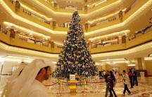 Cây thông Noel đắt nhất thế giới, giá 15 triệu USD ở Tây Ban Nha