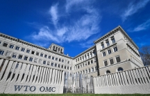 Chính quyền Trump làm tê liệt WTO giữa cơn bão thương chiến