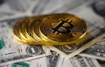 Bitcoin là khoản đầu tư tốt nhất thập kỷ