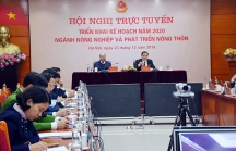 Thủ tướng Nguyễn Xuân Phúc: Việt Nam không thiếu thịt lợn, nếu cần thiết sẽ nhập khẩu