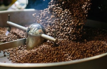 3 lý do tại sao Starbucks thành công khắp thế giới nhưng chỉ chiếm chưa tới 3% thị phần cà phê ở Việt Nam?