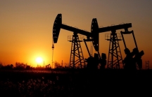 Triển vọng giá dầu năm 2020