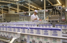 Sở hữu 75% vốn điều lệ GTNfoods, Vinamilk chính thức tham gia quản lý Mộc Châu Milk