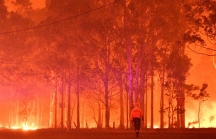 Cháy rừng ở Australia đang 'giáng một đòn mạnh' vào nền kinh tế của nước này