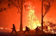 Cháy rừng ở Australia: Khung cảnh tàn khốc của một trong những thảm họa lớn nhất trong lịch sử Australia