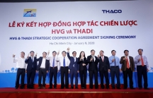 Thadi chính thức hiện diện ở doanh nghiệp của 'vua cá tra' Dương Ngọc Minh