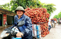 Trái cây Việt tiếp tục thâm nhập nhiều thị trường khó tính