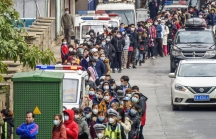 Cúm gia cầm, dịch SARS, dịch viêm phổi do virus Corona, phải chăng lịch sử đang lặp lại tại Trung Quốc?