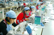 BVSC: GDP trong quý 1 của Việt Nam có thể sẽ giảm 0,4% vì virus Corona
