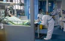 Việt Nam phát hiện bệnh nhân thứ 10 nhiễm virus Corona, 3 người được chữa khỏi