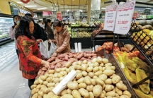 Việt Nam đã cần gói kích thích kinh tế?